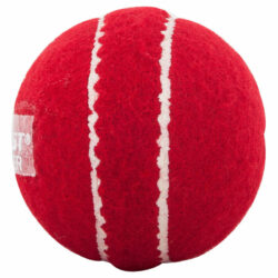Gunn & Moore Purist Starter Training Cricket Ball (youths) Red